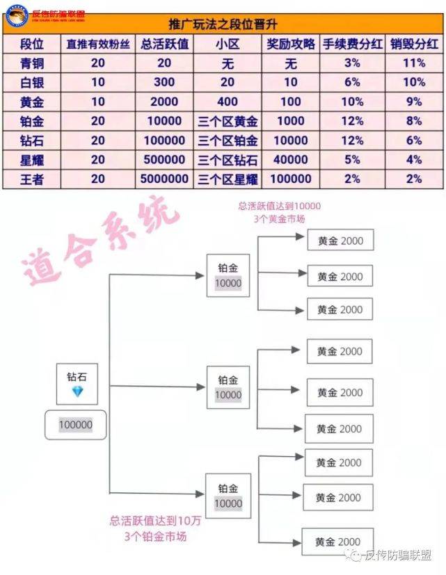 天博电竞APP深圳光彩国际公司运营模式涉嫌(图4)