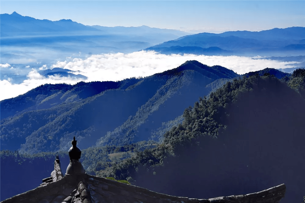 果树|寻花台仙山 观高黎贡山雾海