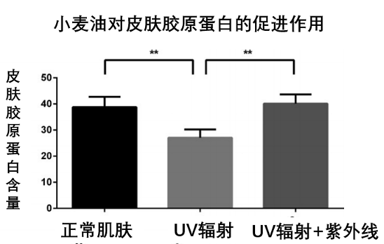 油酸以油养肤的正确方法！千元大牌竟输给90元国货？