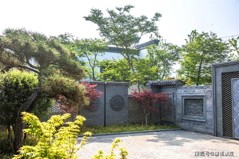 古建中式庭院合院景观砖雕小院该种什么树