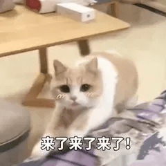 人群嘉玲护肤老师：毛孔粗大怎么破