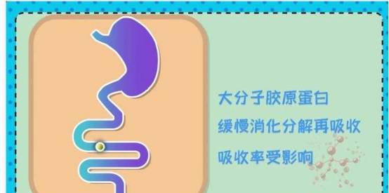人体胶原蛋白肽的作用，有用吗？哪个牌子好推荐？