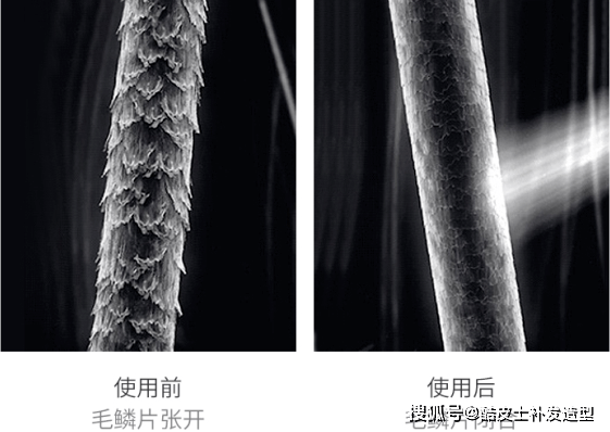 假发真人发也有等级之分！望摸烧用四法教你辨真假，再也不怕被坑了