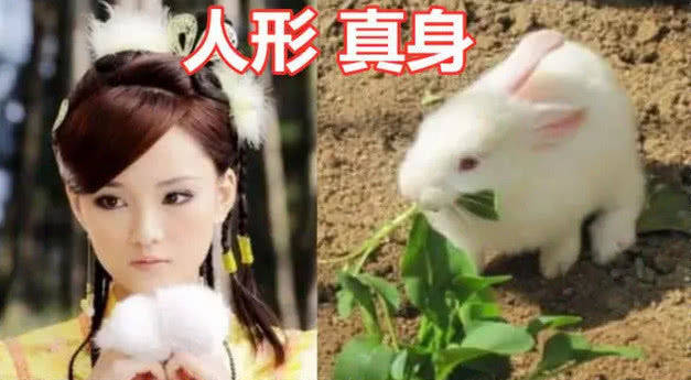 人形|同样是人形VS真身，躲过八戒，躲过重楼，看到白雪：我可以！