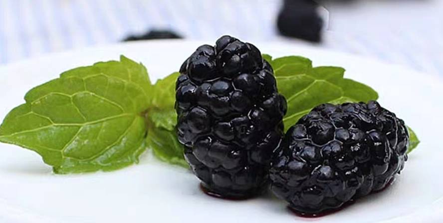 頂呱呱|超市這些“便宜”零食，經常被擺在最角落，味道卻“頂呱呱”好！