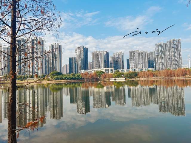 广州郊区“备受争议”的新城，有人觉得它很有前景，有人却不看好