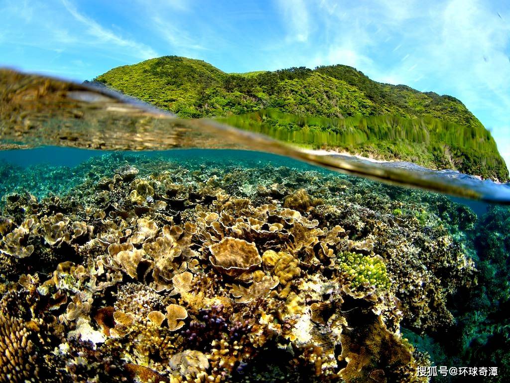 （图片集）奄美大岛的观光景点：海洋，多彩清澈的“奄美蓝” | Nippon.com