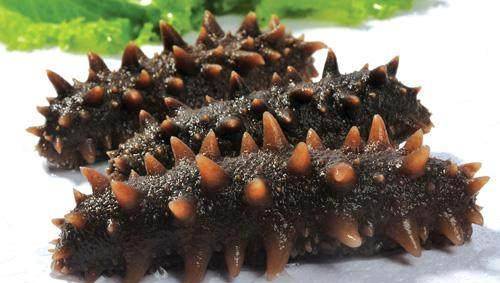 什么东西可以补肾益精 584cae0bc40a418dbf8c99cb7edd53dd.jpeg