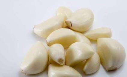 蒜头 9af1d8b9c424469eb3d908439bfda0c8.jpeg