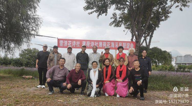雪浪花诗社薄荷花海采风 新韵 阎玉彩 冯剑波