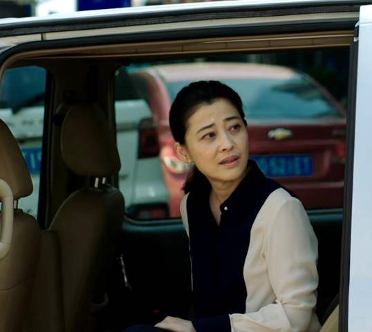 因为|播1集豆瓣五星飘满屏,梅婷令观众成功入坑,央视又拿到收视王牌