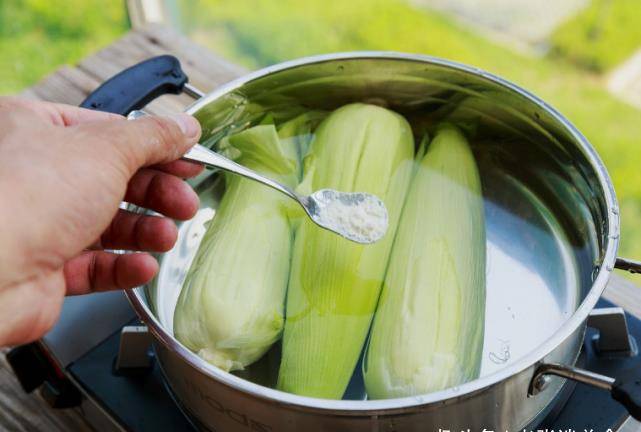 食品|煮它时，千万别剥皮，功效堪比“燕窝粥”！如此好处你有想到吗？