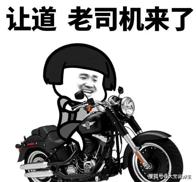 什么是滚刀肉的图片 6a5842ee73ac4518927699632bd991e9.jpeg