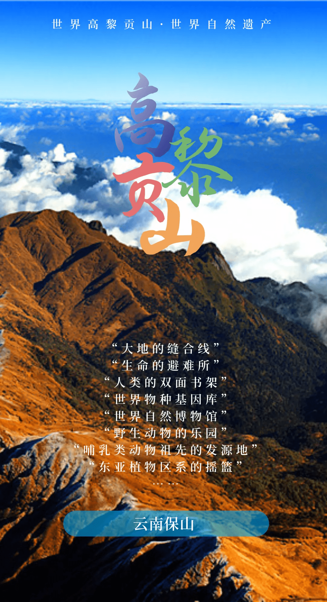 森林|探秘高黎贡山