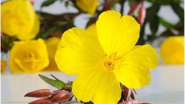 忠告|脑梗多是吃出来的，医生忠告：早餐少吃这2样，太伤血管了