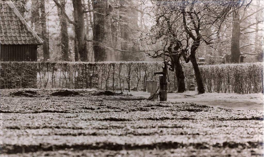 父亲是我登天的梯 5505763ee2f6449b8934cdabc279ba07.jpeg