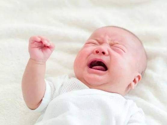婴儿的哭声能够引来大量天敌，这样的情况下原始人是如何生存的？