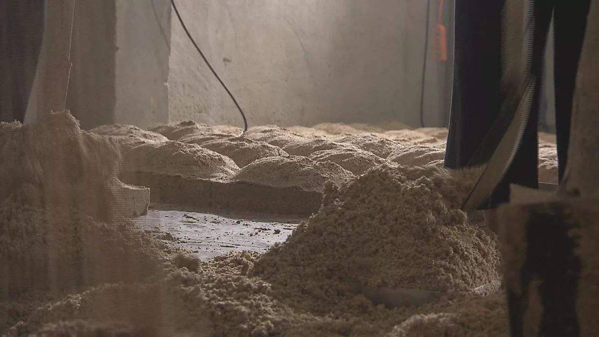 原料|茅台酒用脚踩制曲,脚汗会不会留在酒里面?