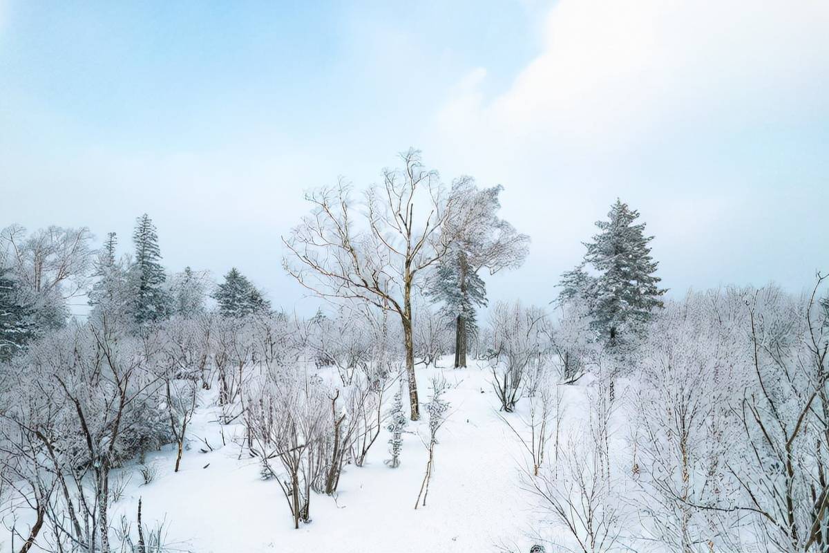 项目|吉林北大湖不只是滑雪胜地，高山雾凇像童话世界一样，不敢相信