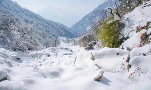 遇到大雪的時候,從紅房子下車出發到祖師殿一片銀裝,在冰天雪地裡幾乎