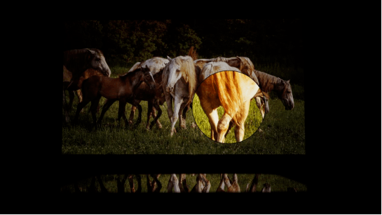 当贝X3实际体验究竟如何，全面投影仪测评分享，告诉该不该买