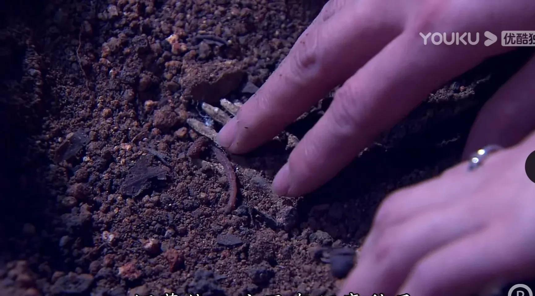 角色TVB印象深刻角色,《法证先锋3》黄嘉敏,任人摆弄的“天眼少女”