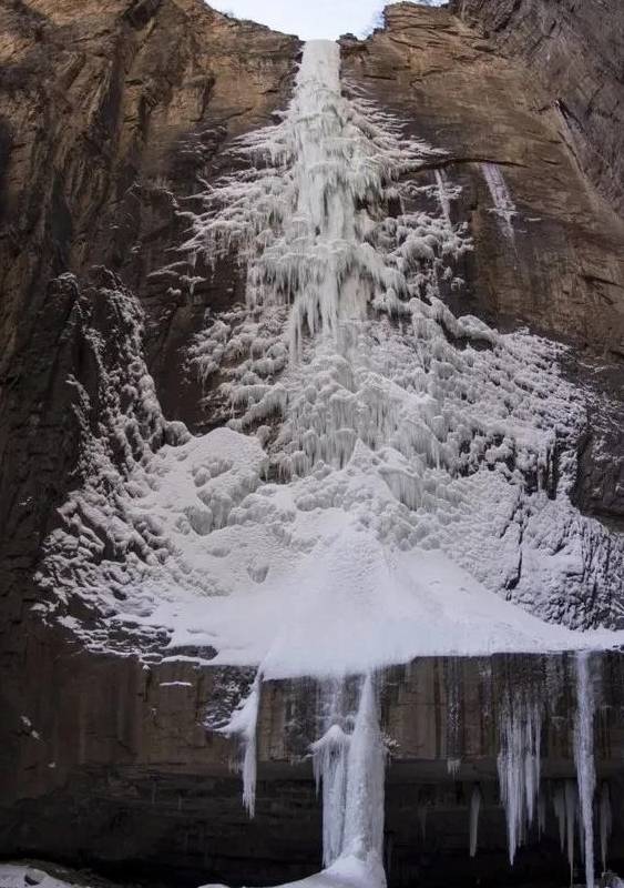 赏冰观雪松，林州大峡谷——太行大峡谷冰瀑奇观中华松