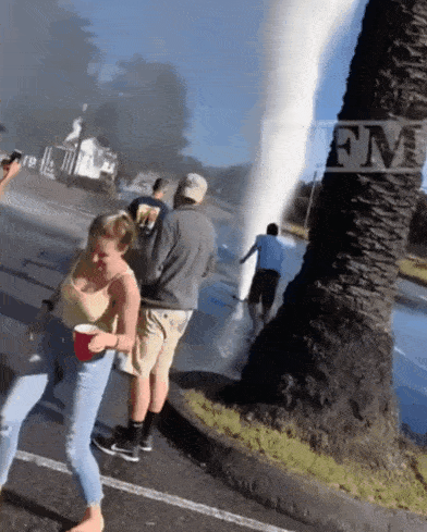 392_489竖版 竖屏gif 动态图 动图