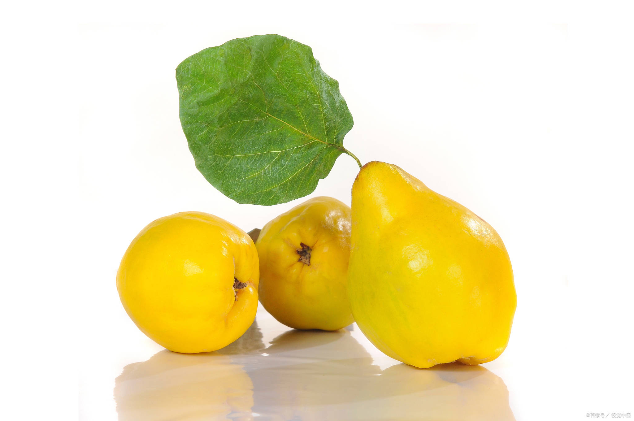 对呼吸道的好处榅桲汁对呼吸道有重要作用.