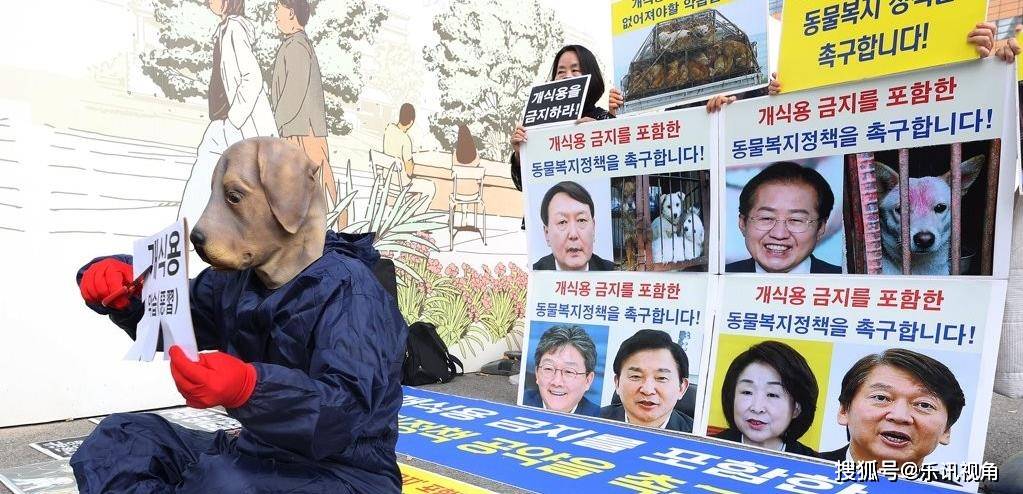 疯狂！狗肉产业“裹挟”韩国，酝酿的禁食狗肉政策正遭受“内斗”