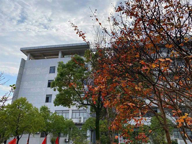 安徽汽车职业技术学院2022报考指导