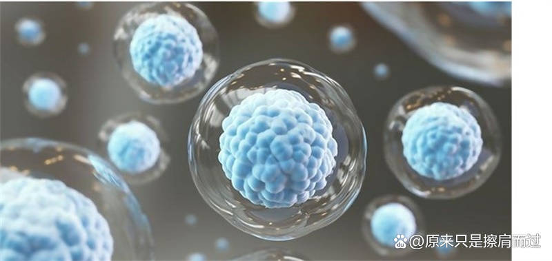 热门科普：什么是干细胞美容？表皮干细胞的作用和功效