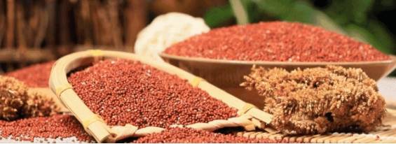 时间|@打工人：再忙，也别忘了营养早餐(红养饼干+燕窝银耳羹）