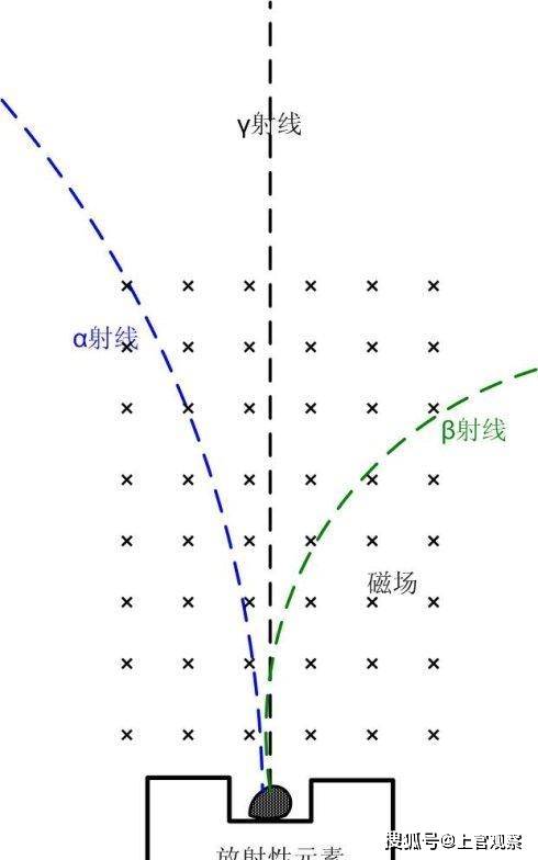 (三種射線在磁場作用下的偏轉效果示意圖)而伽馬射線卻不受電磁場的