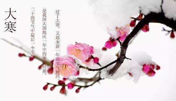 76a4db3772764a43bade42d2c03e5516.jpeg