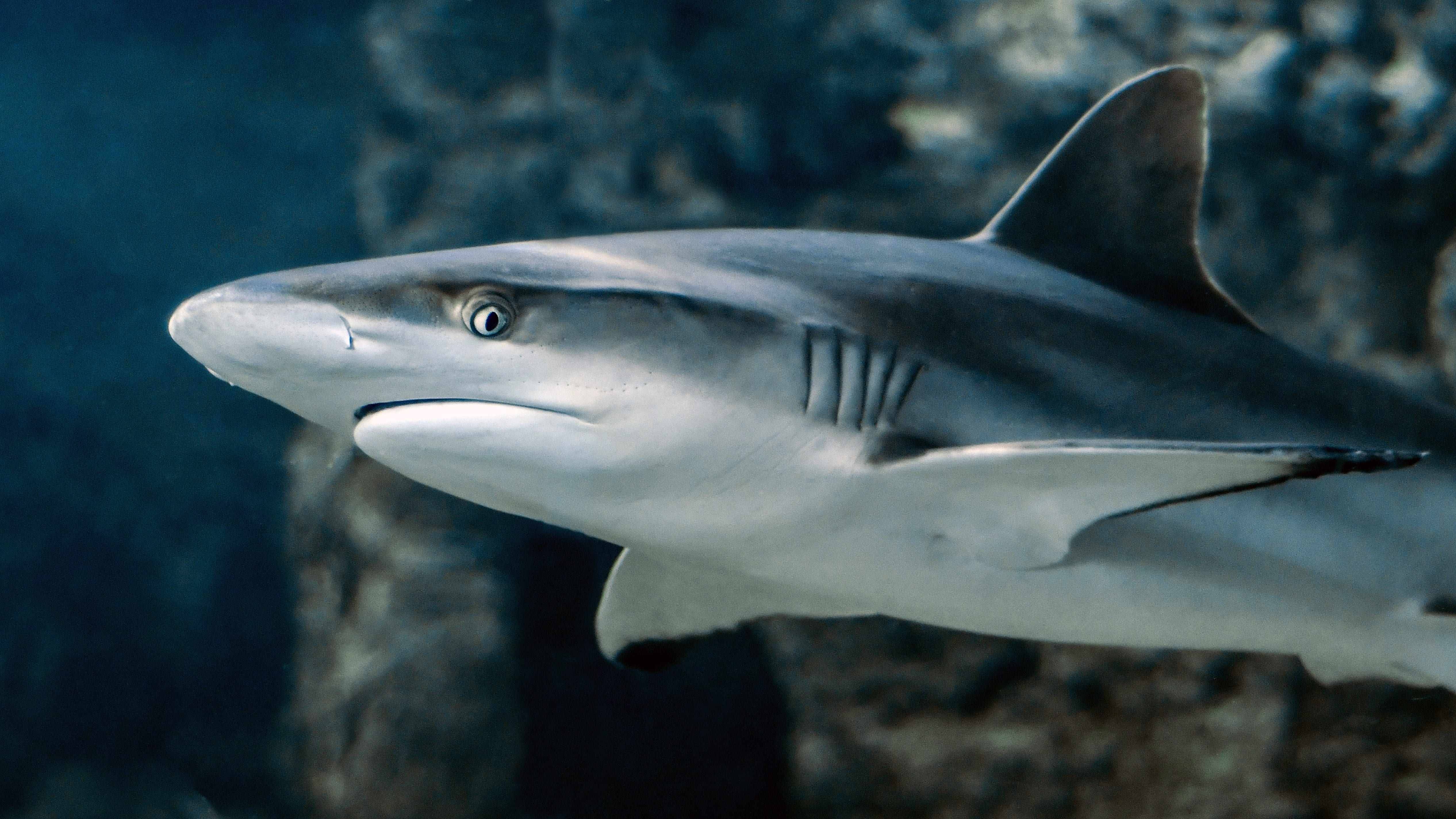 人体宝宝护肤品提到的角鲨烯，居然这么神奇？！