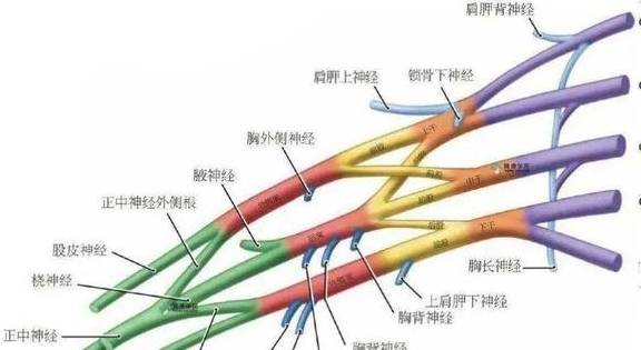 控制|“不痛不痒”的疱疹，却是糖尿病在作祟