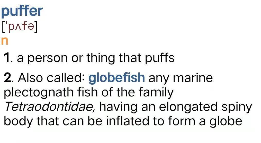 服装翻译英文怎么说 85461b1b5058446a86b65adbe659815b.jpeg