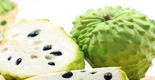 女人怎么补肾益气 9c7b3b7cd0c4478fad35388d948ab9a8.jpeg