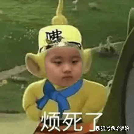 之前很火的小孩表情包 1cff604b7f8741ff813c105a62c97772.png
