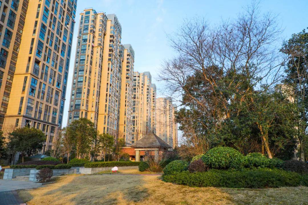 第一时间!周伟赴张浦镇开展安全"四进四排查"集中行动