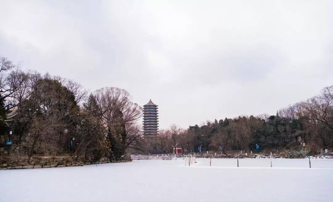 为什么北京一下雪，刘诗诗就上热搜？