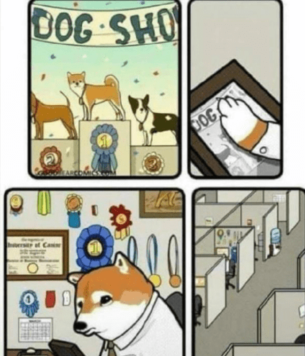 1bf65e232d674278bd9f1b80bd744022.png