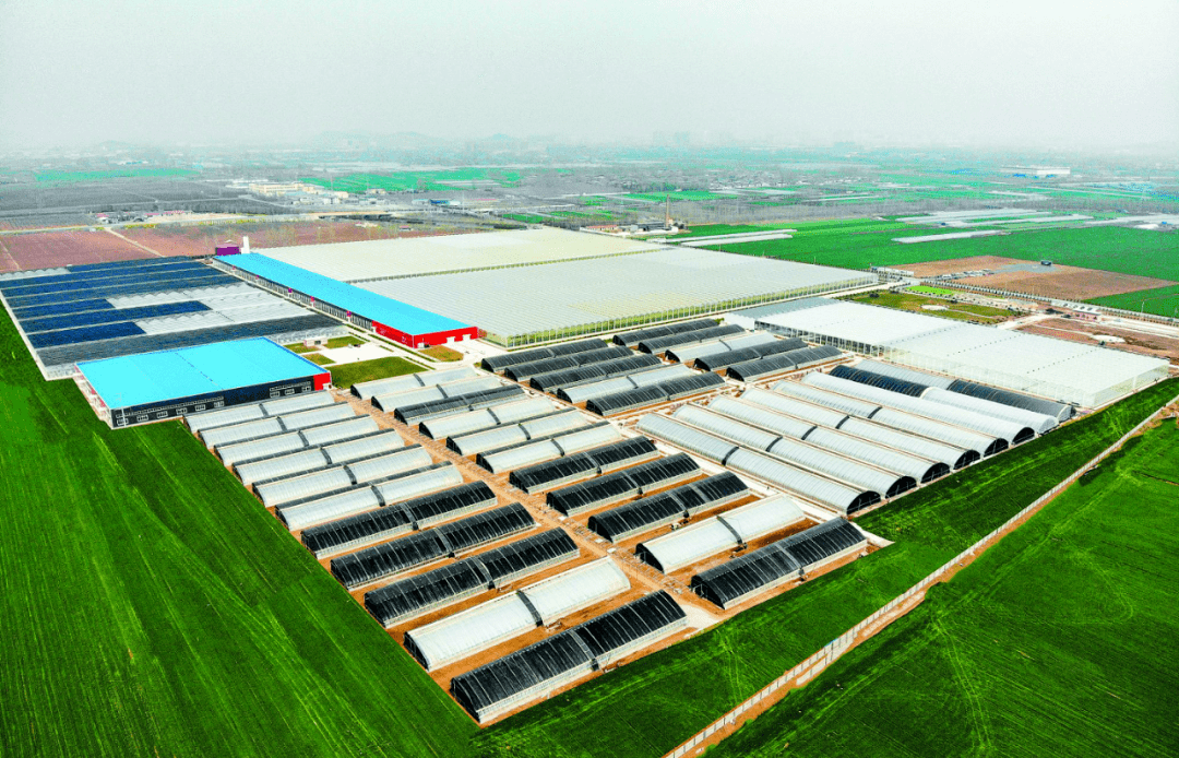 推进农业供给侧结构性改革为何现代农业产业园是重要抓手