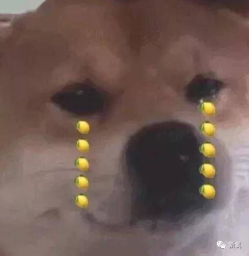 什么红毯酒窝是什么鬼？现在的女明星也太卷了吧！