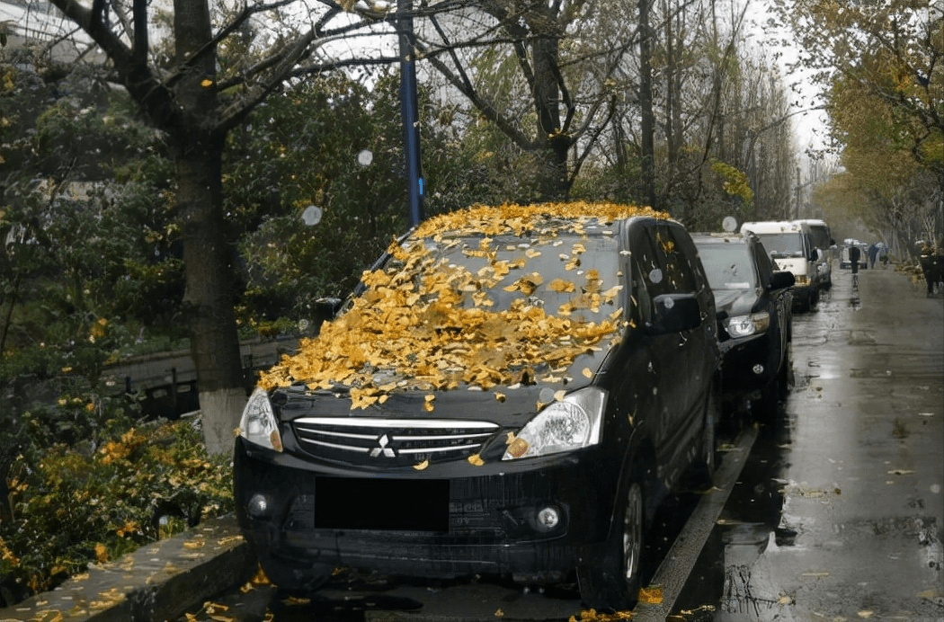汽车久放不开，一定要做好这几项保护_搜狐汽车_搜狐网
