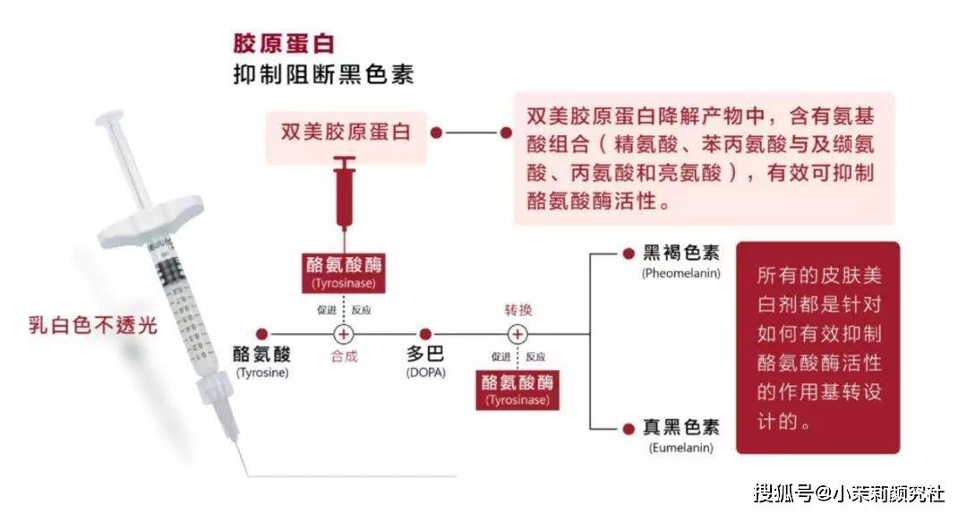 时代抗衰再生时代，双美胶原蛋白降解产物有什么用？