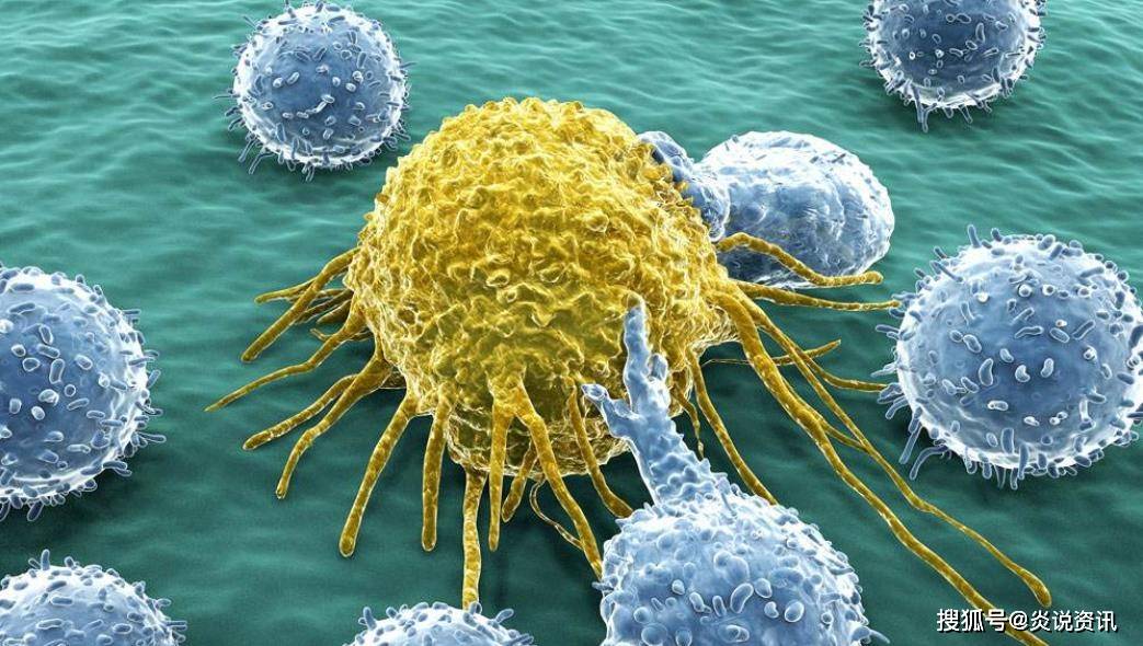 马蜂窝治什么病最好 97aaacf62c4148d8a14ae678e9b2ff87.jpeg