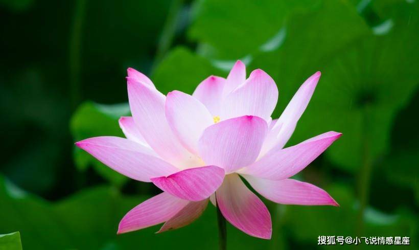 什么样的手有财有福气 b4962e6424b8411b817803065efddbee.jpeg