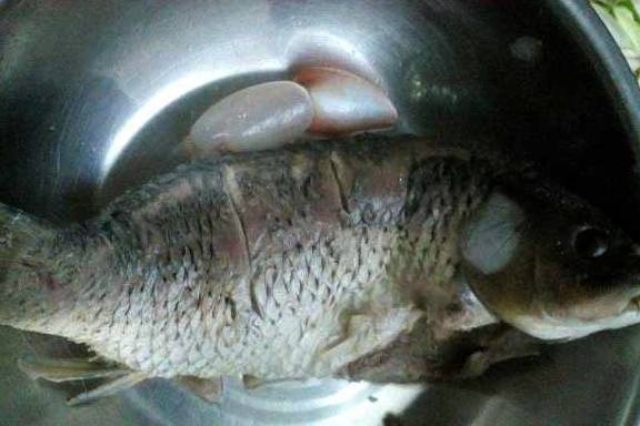 鱼肚子黑膜 c795f3785b5a42448385858fd7a7dd0e.jpeg